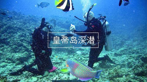 探寻红豆生南国的全诗是什么?知识星球,加入解锁无限智慧。